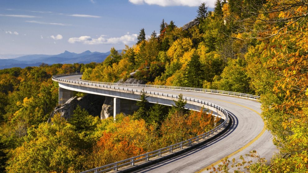 Milepost 305, Grandfather Mountain